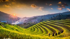 Quên lối về giữa miền sơn cước Mù Căng Chải rực màu nắng