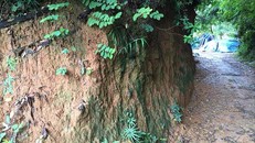 Thành, hào ở Cổ Loa đang bị xâm phạm nghiêm trọng. Ảnh: NGUYÊN KHÁNH