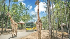 Hé lộ ‘bom tấn’ thứ 2 – Công viên vui chơi khủng tại Gia Lâm của đại gia Vingroup