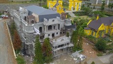 Vụ rừng Sóc Sơn bị 'xẻ thịt': Hà Nội khẳng định xử lý nghiêm