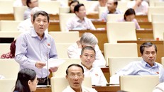 Đại biểu Hồ Thanh Bình phát biểu tại hội trường.