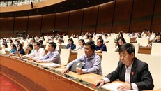 Các đại biểu biểu quyết thông qua Luật Bảo vệ bí mật nhà nước. Ảnh: Văn Điệp – TTXVN