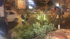 Hà Nội: Công nhân trồng hoa giữa đêm để... trốn nắng nóng