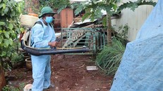 Phun hoá chất diệt muỗi gây bệnh sốt xuất huyết. (Ảnh: TTXVN)