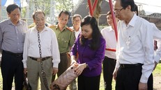 Bộ trưởng Bộ Y tế Nguyễn Thị Kim Tiến kiểm tra phòng chống sốt xuất huyết tại TP Hồ Chí Minh.