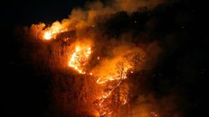 Cháy rừng Amazon: Lá phổi của trái đất đang bị đe dọa nghiêm trọng