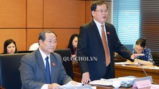 ĐB Vũ Trọng Kim đề nghị nghiên cứu về hoạt động kinh doanh mại dâm