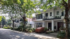 Hưng Yên: Cận cảnh hơn 200 căn biệt thự xây 'chui' tại Dự án Sago Palm Garden