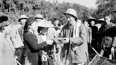 Chủ tịch Hồ Chí Minh đến thăm nông dân tỉnh Bắc Kạn đang thu hoạch lúa mùa năm 1950. Ảnh: Tư liệu TTXVN