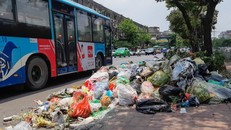 Gần 10.000 tấn rác nội thành Hà Nội đã được tập kết về Nam Sơn