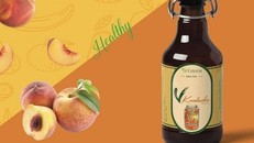 Uống trà VKombucha và nói chuyện về sống khỏe