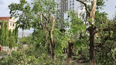 6 người chết do bão Noul