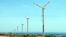 Đầu tư hơn 8.900 tỷ đồng xây dựng cụm trang trại điện gió ở Quảng Bình