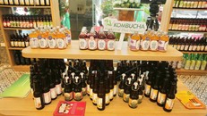 Trà lên men VKombucha- đánh thức tinh hoa trà Thái Nguyên