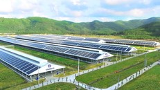 Mô hình phát triển bền vững ‘Vinamilk Green Farm’ được chia sẻ tại Hội nghị sữa toàn cầu