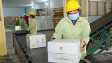 Thương hiệu Gạo - "Cơm Việt Nam Rice" đã chinh phục được thị trường châu Âu khó tính