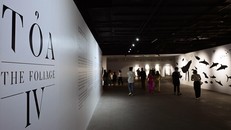 'Tỏa IV' tại VCCA: Cuộc đối thoại của người trẻ với tự nhiên