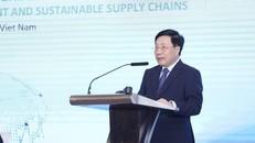 Phó Thủ tướng Thường trực Phạm Bình Minh phát biểu. (Ảnh: TTXVN)