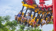 Trò chơi Tê giác cuồng nộ- Dragon Park- Sun World Halong Complex