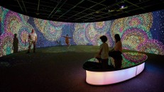 "Bước qua một khúc đường ca"- Mang văn hóa bản địa Australia đến với công chúng Thủ đô