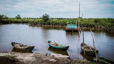  Vụ việc đau lòng xảy ra tại Vườn Quốc gia Xuân Thủy (Nam Định) khiến một phụ huynh và một học sinh của một trường ở Hà Nội tử vong (ảnh minh họa)