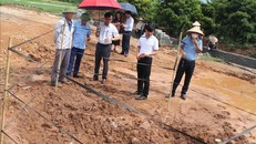 Các nhà quản lý, chuyên gia khảo sát hiện trường phát hiện mộ gạch tại Đan Phượng, Hà Nội.