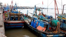 Các địa phương chủ động ứng phó với cơn bão số 1 (Ảnh minh họa)