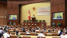 Khai mạc Hội nghị đại biểu Quốc hội hoạt động chuyên trách