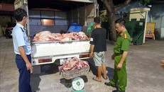 Số thịt lợn không đảm bảo đảm yêu cầu vệ sinh thú y và an toàn thực phẩm buộc phải tiêu hủy. Ảnh: TTXVN