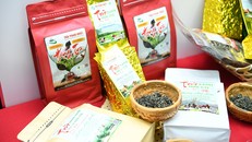 Đưa nông sản Việt ra “biển” lớn bằng chỉ dẫn địa lý