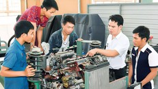 Đào tạo nghề gắn với giải quyết việc làm cho lao động nông thôn Tiền Giang