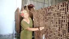 Các thành viên Hợp tác xã Dịch vụ nông nghiệp Dâu tằm tơ Hòa Lễ (thôn 11, xã Hòa Lễ, huyện Krông Bông) vẫn hoạt động sản xuất đơn lẻ.