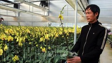 Ảnh minh họa (Ảnh TTXVN)