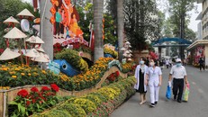 Đường hoa bệnh viện - Mang Xuân đến với bệnh nhân