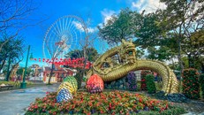 Lịch trình du xuân biển đảo dịp Tết Giáp Thìn với 10 triệu đồng 