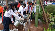 Học sinh Trường THCS Trưng Vương trồng cây tại vườn hoa Tao Đàn, Hoàn Kiếm, Hà Nội. Ảnh: Phạm Kiên - TTXVN