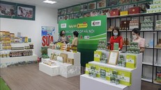 Hà Nội thành lập “chợ phiên điện tử” livestream bán sản phẩm OCOP