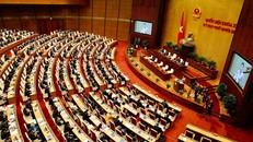 Tổ chức Hội nghị toàn quốc lần thứ hai triển khai luật, nghị quyết của Quốc hội