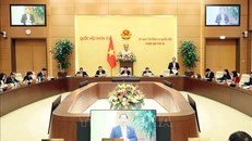 Quang cảnh phiên họp. Ảnh: An Đăng - TTXVN