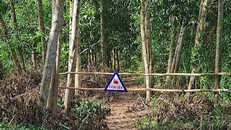 Gần 80% diện tích rừng của Cà Mau bị khô hạn, nguy cơ cháy cao