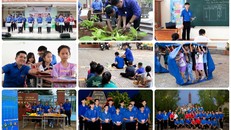 Các hoạt động trong chiến dịch "Mùa hè xanh”, “Hoa phượng đỏ” năm 2024