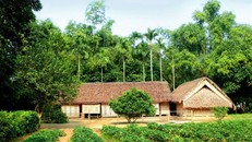 Mộc mạc nghĩa tình từ những mái nhà tranh trên quê hương Bác Hồ