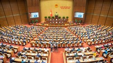 Phiên họp thứ 46, Ủy ban Thường vụ Quốc hội: Thu hút nguồn nhân lực chất lực cao