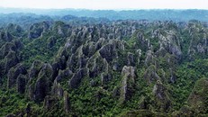 Vườn Quốc gia Phong Nha - Kẻ Bàng và Hin Nam Nô trở thành Di sản thế giới liên biên đầu tiên của Việt Nam và Lào