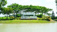 "Mở khoá tự nhiên": Vinamilk biến rào cản thành vòng tuần hoàn xanh tại trang trại sinh thái 