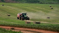 Những cỗ “siêu máy” trên cánh đồng nguyên liệu 8.100 ha của TH true MILK