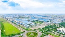 GELEX đặt mục tiêu doanh thu kỷ lục gần 38.000 tỷ đồng năm 2025, cổ tức 10%