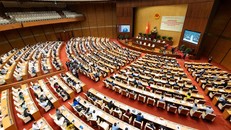 Thời gian bắt đầu và kết thúc bỏ phiếu vào ngày bầu cử được quy định thế nào?