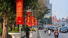 Cờ Đảng, cờ Tổ quốc và khẩu hiệu kêu gọi cử tri đi bầu cử đại biểu Quốc hội khóa XVI và đại biểu HĐND các cấp trang hoàng rực rỡ.