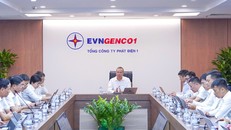Tổng Giám đốc Lê Hải Đăng chủ trì Hội nghị sơ kết công tác 6 tháng đầu năm và triển khai nhiệm vụ các tháng cuối năm 2026 của EVNGENCO1